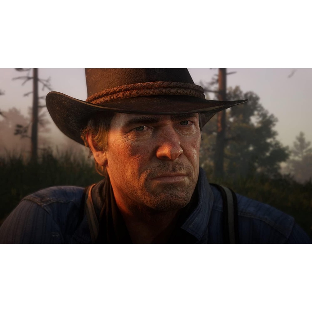بازی Red Dead Redemption 2 کارکرده برای PS4 - 2