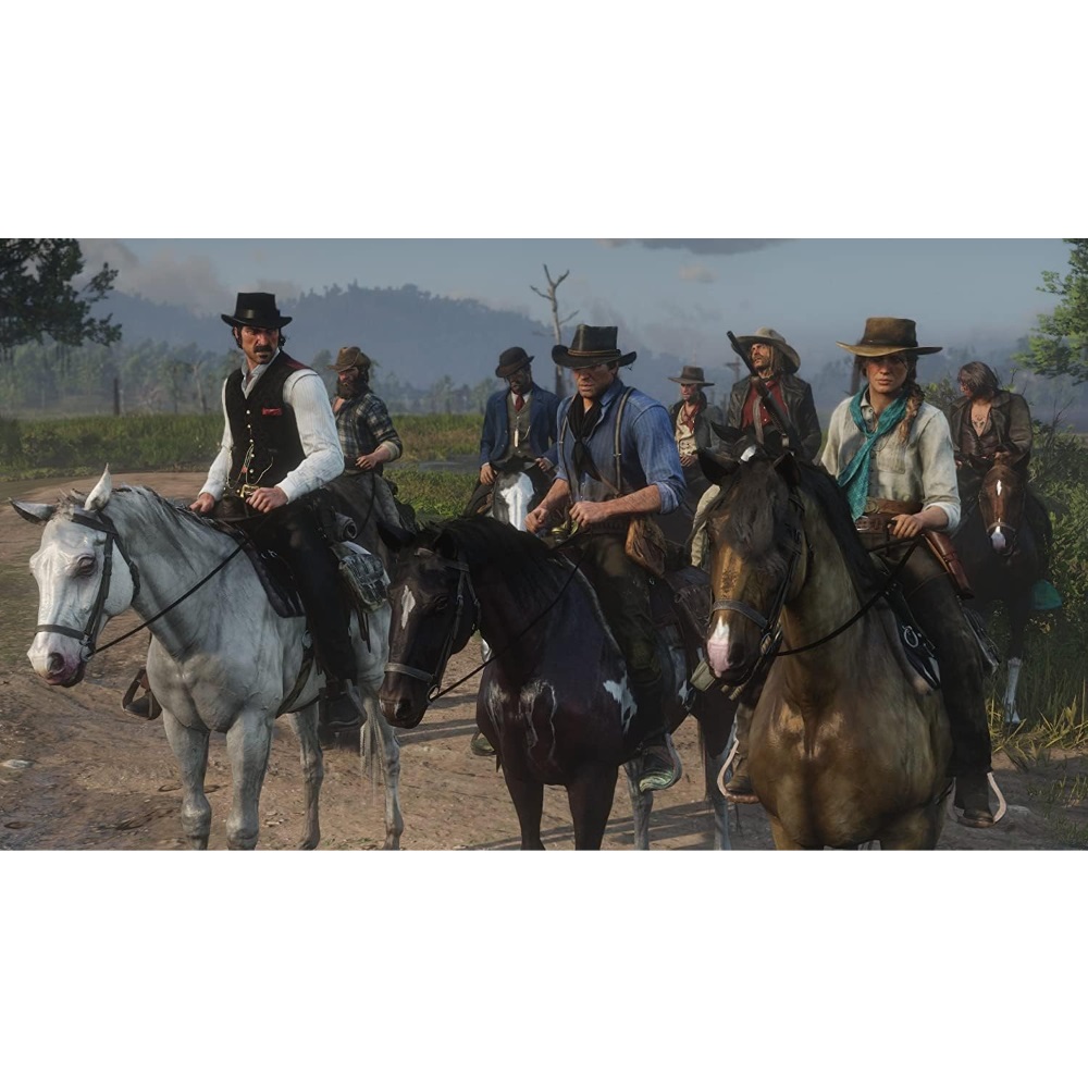 بازی Red Dead Redemption 2 کارکرده برای PS4 - 6