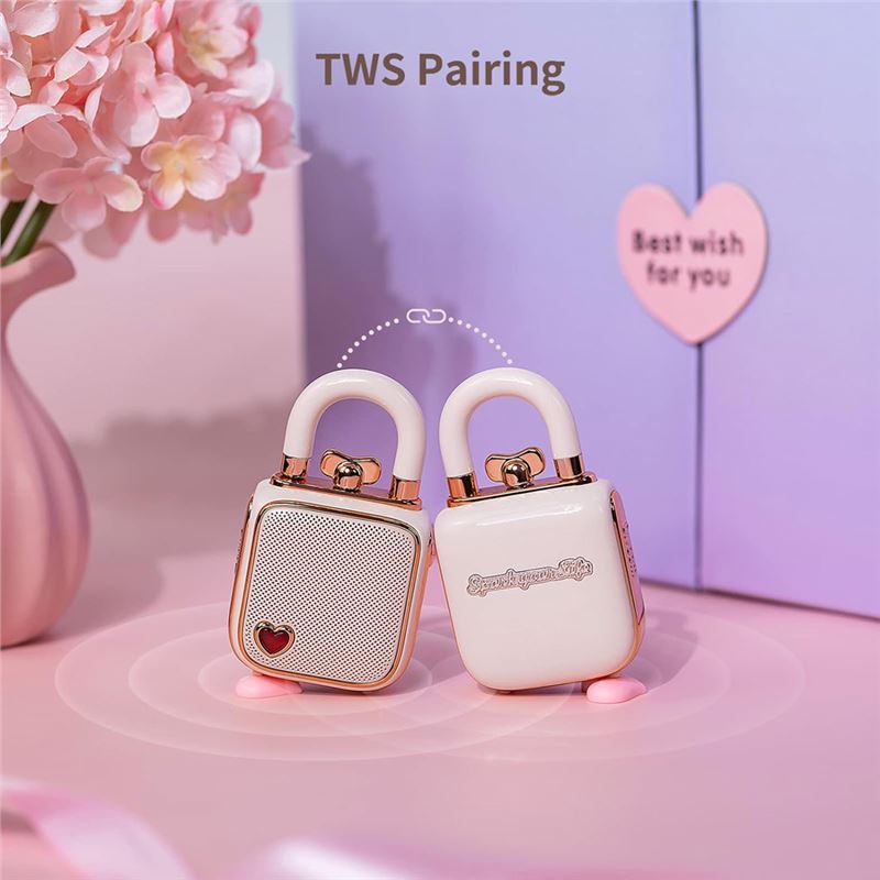 مینی اسپیکر بلوتوثی دیووم مدل Divoom LoveLock - 3