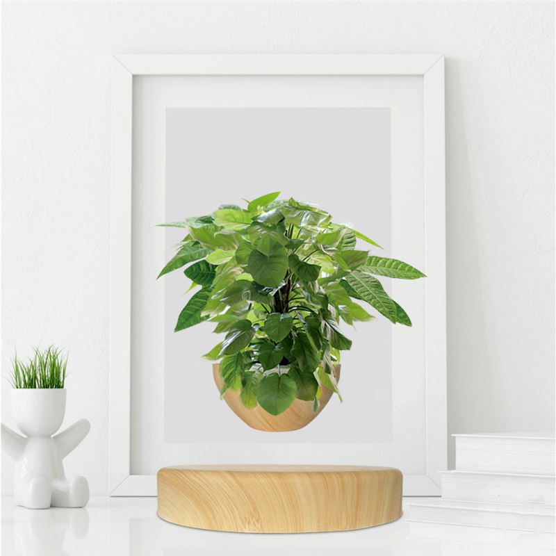 گلدان معلق گرد برند BABYLONIA (HCNT) - 6