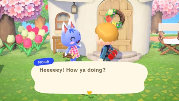 بازی Animal Crossing New Horizons برای Nintendo - Image 4